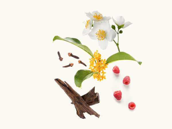 Widian - Samar Extrait