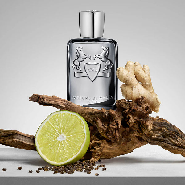 Parfums de Marly - Castley EDP