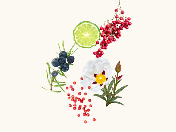 Widian - Granada Extrait