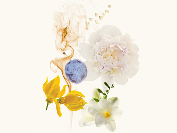 Widian - White EDP